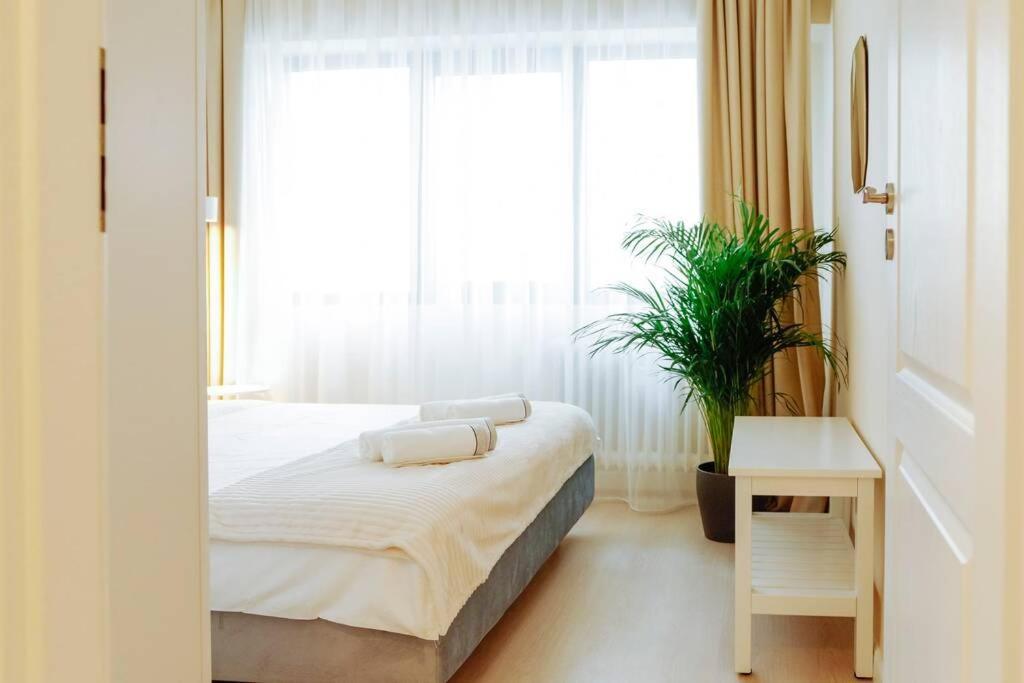 Elegant Vibes Apartment Next To Obor Market Бухарест Экстерьер фото